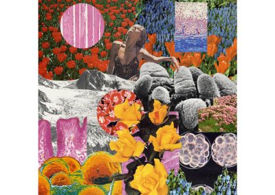 Fields handcut collage image