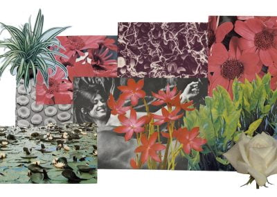 Pond life collage image